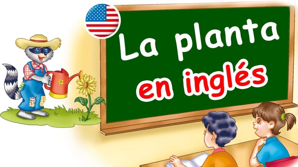 Ejercicios de partes de la planta en inglés