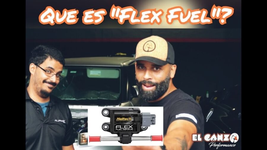 Qué Significa Flex